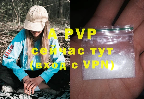СК Богородск