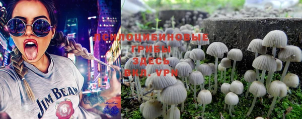 MESCALINE Богородицк