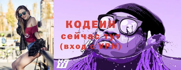 гашик Пересвет