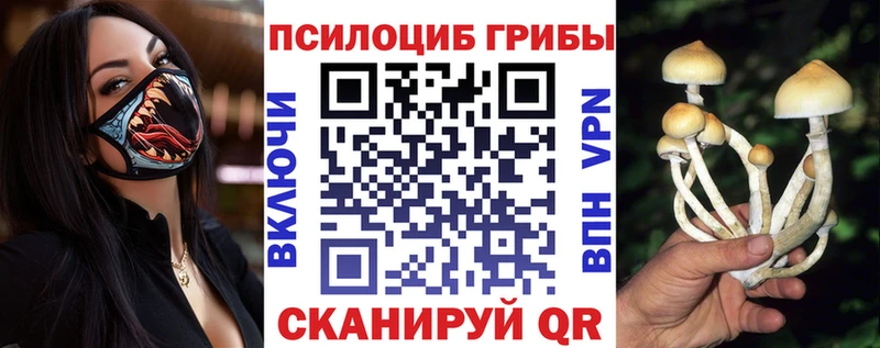 blacksprut   Дедовск  Галлюциногенные грибы прущие грибы  где найти  